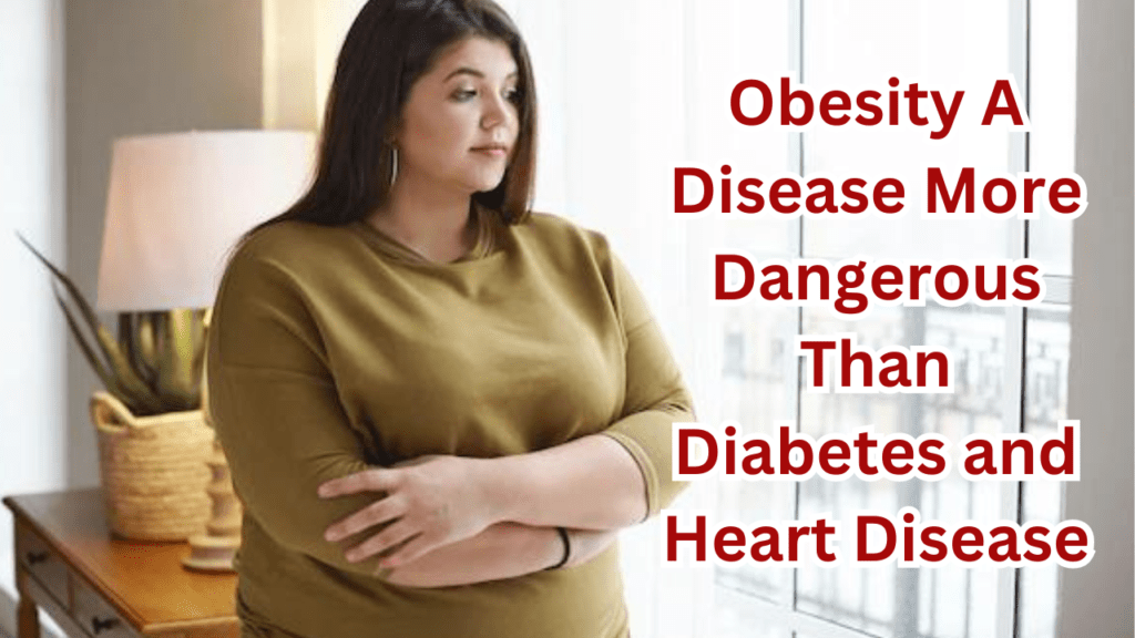 Obesity A Disease More Dangerous Than Diabetes and Heart Disease